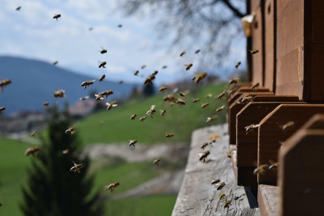 Toetscherhof Terenten Exteriör bild